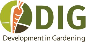 DIG Logo